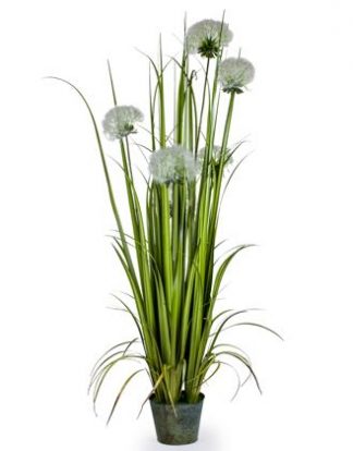 This striking artificial tall grass has pom pom type flower heads that are fluffy! One of my faves! Stands in a pot at 155cm. So real and lifelike!