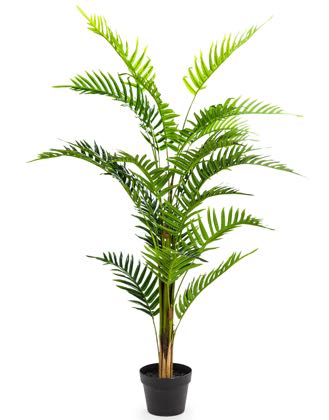 Feel, texture and colour are what make this artificial fern soo good. Great finish and detail to the fronds. Perfect anywhere indoors. Stands 120cm tall