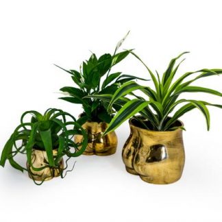 Something cheeky for your home, this large gold booty plant pot is made from ceramic and has a smooth finish. 22 x 18 x 20cm