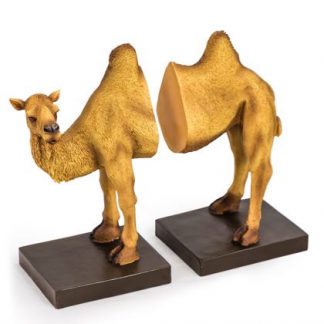 These unusual camel bookends are made of resin and have been hand finished. Wonderful texture and colour. Perfect for any bookcase! 22 x 26 x 11cm