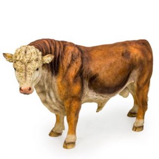 Bernie is a whopping bull ornament. Made of resin, hand finished and painted ceam and brown. A perfect specimen! Measures at 47 x 82 x 32cm. Great gift!