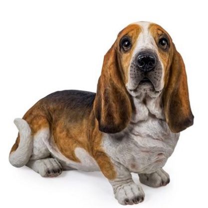 Bonnie the basset hound ornament figure is just so realistic too. a poly resin hand finished and painted, she really is a must have.H39.5 x W54 x D26cm