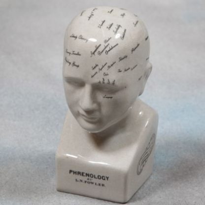 Trace your emotions with our small phrenology head ornament! Off white glossy ceramic with black writing. Great gift! 20 x 9 x 9cm. Felt pads on base.