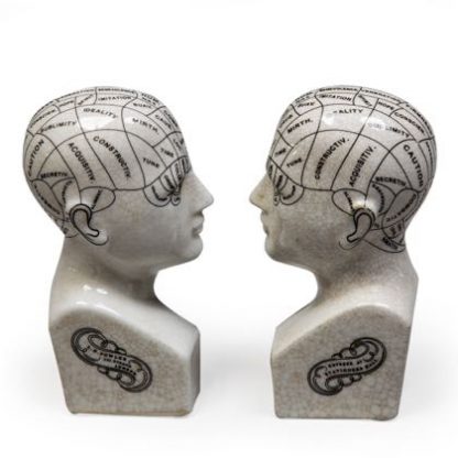 This super little pair of Phrenology head bookends measure 21 x 9 x 4 cm each. White ceramic with black writing and a glossy crackle glaze. Great Gift!