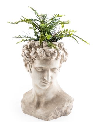 Superb stone effect David bust planter! Superb cream distressed colour and finish. What will you plant for his hair? 42 x 32 x 28cm.