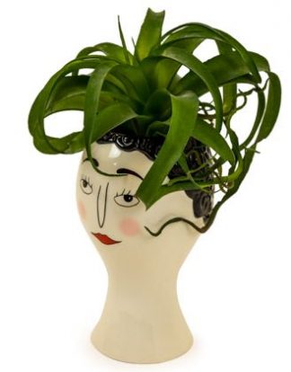 This lady face vase, with her blusher, groomed eyebrows and red lipstick. Stylish and different Glazed cream ceramic, perfect gift. 26.5 x 15.5 x 15.5cm.