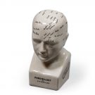 Trace your emotions with our small phrenology head ornament! Off white glossy ceramic with black writing. Great gift! 20 x 9 x 9cm. Felt pads on base.