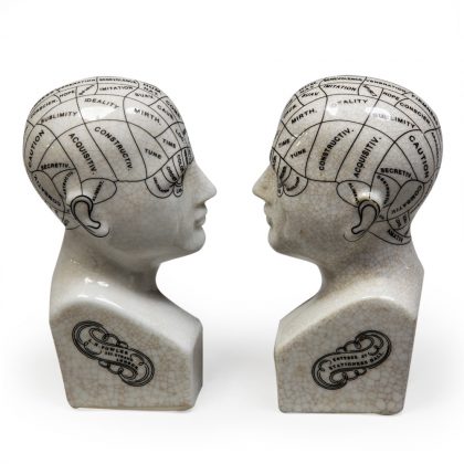 This super little pair of Phrenology head bookends measure 21 x 9 x 4 cm each. White ceramic with black writing and a glossy crackle glaze. Great Gift!