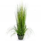 Our small artificial grass plant in pot measures 75cm tall. This super little plant has an abundance of tiny white blooms throughout the lush green makes it very versatile.
