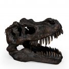 large T-Rex dinosaur head wall hanging superbly painted resin skull ornament that measures 37 x 30 x 52cm