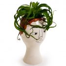 Let us present this cheeky little chap, Gary, our ginger doodle face vase