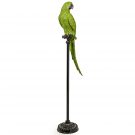 This amazing vibrant large green parrot ornament looks so alive! Pedro is on a floor standing perch. Made of resin and hand finished. H116 x W25 x D23cm.
