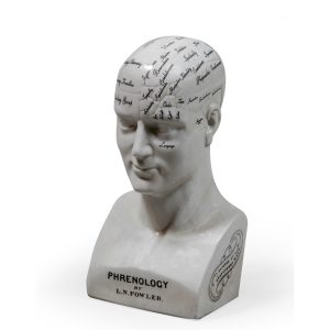 Large Phrenology Head