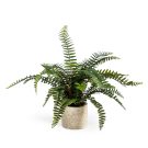 Our small artificial fern plant measures 33cm. This super little plant works well anywhere in your home. The perfect ornamental splash of green.