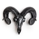 This matt black ram skull wall hanging is striking and unusual but lovely! Texture and detailing are superb. Goat head maybe? 39 x 32 x 14cm