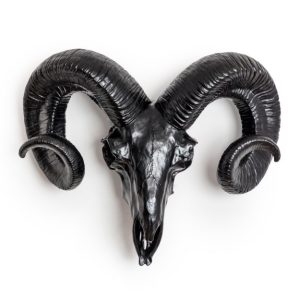 Black Ram Skull Wall Decor