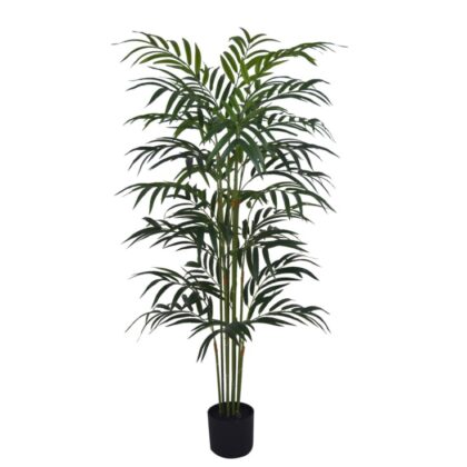 Feel, texture and colour are what make this large artificial bamboo tree so good. Great finish and detail to the fronds. Perfect anywhere indoors. 150cm