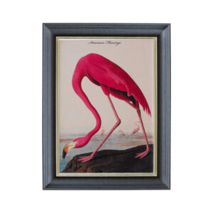 Luxury Velvet Flamingo Wall Art Print
