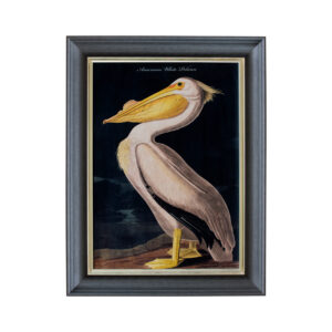 Luxury Velvet Pelican Wall Print