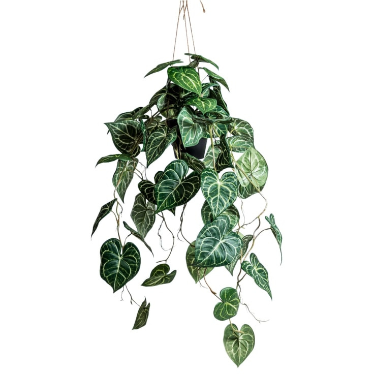 This artificial hanging vine plant packs a punch! Juicy jungle colour and textures that will add interest anywhere in your home. 50 x 105 x 30cm.
